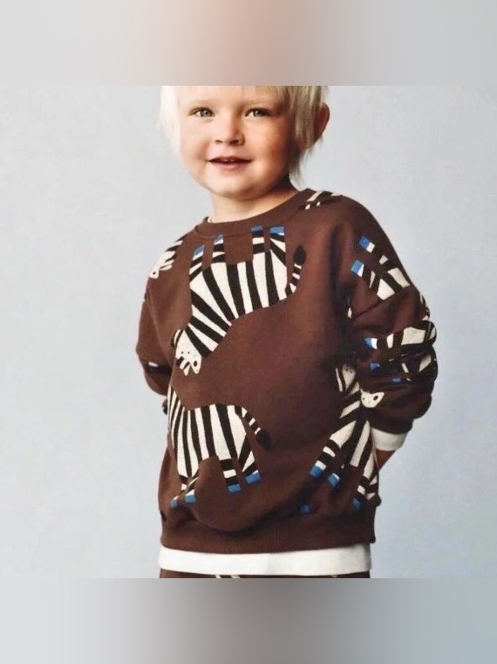 Zara Kids Zebra Print Sweatshirt size 4